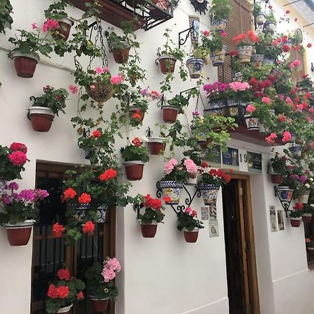Apartamento Zoco قرطبة المظهر الخارجي الصورة